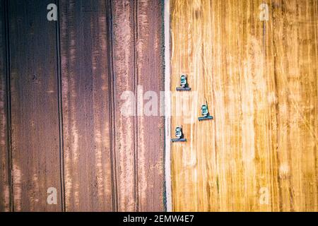 Raccolta grano grano grano in campo estivo. Tre mietitrebbia in una nuvola di polvere che si illumina dal sole che tramonta. Vista dall'alto dell'antenna Foto Stock