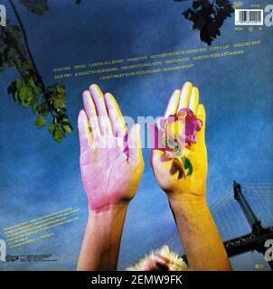 Cyndi Lauper: 1989. Copertina posteriore LP: Una Notte da ricordare Foto Stock