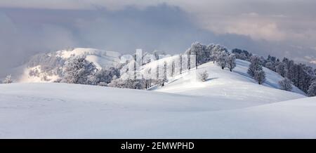 Vista incredibile della catena montuosa e delle cime innevate in inverno. Foresta con brina incandescente con luce calda luminosa alba Foto Stock
