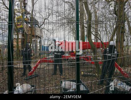 Steeple Claydon, Buckinghamshire, Regno Unito. 24 febbraio 2021. Oggi gli attivisti anti HS2 che vivono in Poors Piece Wood sono stati sfrattati da case di alberi in una grande operazione di polizia Thames Valley. Lo sfratto è iniziato ieri, quando il National Eviction Team Bailiffs lavora per HS2 presumibilmente aggredito un certo numero di attivisti e uno di loro rimane in ospedale. Gli attivisti anti HS2 hanno vissuto nel bosco a Poors pezzo con il permesso del proprietario terriero Clive Higgins che è più infelice per il modo in cui HS2 hanno gestito lo sfratto. Il controverso Foto Stock