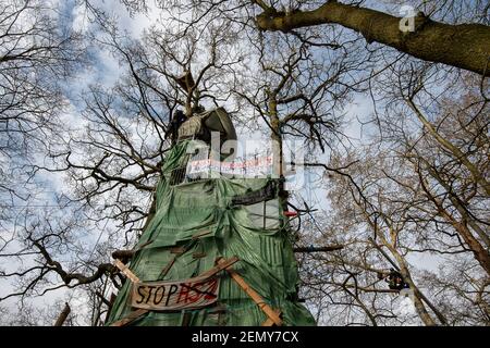 Steeple Claydon, Buckinghamshire, Regno Unito. 24 febbraio 2021. Oggi gli attivisti anti HS2 che vivono in Poors Piece Wood sono stati sfrattati da case di alberi in una grande operazione di polizia Thames Valley. Lo sfratto è iniziato ieri, quando il National Eviction Team Bailiffs lavora per HS2 presumibilmente aggredito un certo numero di attivisti e uno di loro rimane in ospedale. Gli attivisti anti HS2 hanno vissuto nel bosco a Poors pezzo con il permesso del proprietario terriero Clive Higgins che è più infelice per il modo in cui HS2 hanno gestito lo sfratto. Il controverso Foto Stock