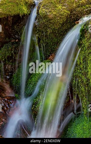 Piccola cascata lungo un ruscello di montagna nel Miller Peak Wilderness delle Huachuca Mountains, Coronado National Forest, Arizona, USA Foto Stock