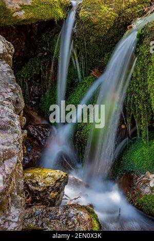 Piccola cascata lungo un ruscello di montagna nel Miller Peak Wilderness delle Huachuca Mountains, Coronado National Forest, Arizona, USA Foto Stock