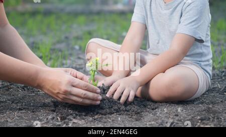 Mano del capretto piccolo e genitore che pianta l'albero crescente in suolo su giardino insieme. Bambino e madre piantano l'albero giovane a mano al mattino. Ambiente forestale Foto Stock