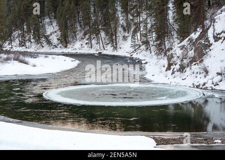 Circolo di ghiaccio rotante in una biforcazione sud del fiume Payette, Idaho. Foto Stock