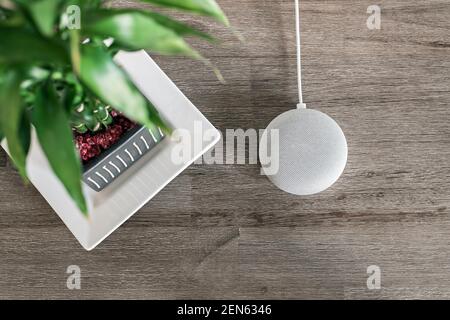 Assistente digitale con altoparlante per la casa intelligente, vista in alto piatta accanto alla fortunata pianta di bambù su fondo di legno fienile Foto Stock