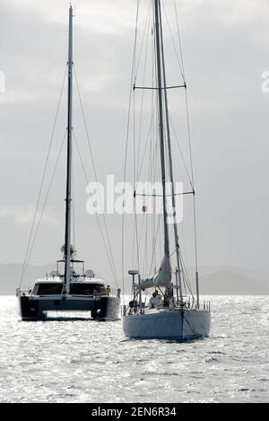 Barca a vela e catamarano all'ancora a Manchioneel Bay, Cooper Island, Isole Vergini Britanniche Foto Stock