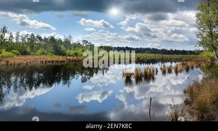 Lago pittoresco in un paesaggio di brughiera - Schwenninger Moos, Germania Foto Stock