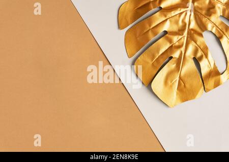 Tendenza esotica estiva in stile minimal. Foglia di monstera di palma tropicale dorata su sfondo a doppio colore. Design brillante e brillante, concetto di moda Foto Stock