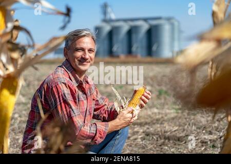 Coltivatore e cereali silos in Cornfield al tempo di raccolto. Agricoltore con il mais COB in mano guardando la macchina fotografica. Foto Stock