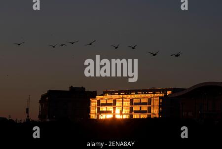 Le oche volano su un edificio mentre l'alba si riflette sulle finestre degli appartamenti a New Brighton, Wirral. Data immagine: Venerdì 26 febbraio 2021. Foto Stock