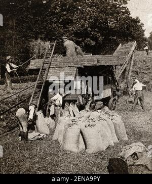 Agricoltori britannici che utilizzano una trebbiatrice a cinghia risalente agli anni '30. Foto Stock