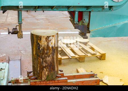Lavoratore in carpenteria all'aperto, officina taglia il log in tavole rotonde ad anello utilizzando una sega a nastro industriale di grandi dimensioni. Foto Stock
