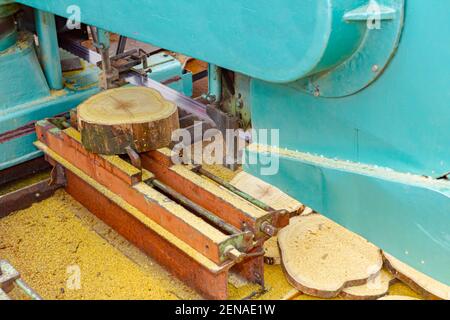Lavoratore in carpenteria all'aperto, officina taglia il log in tavole rotonde ad anello utilizzando una sega a nastro industriale di grandi dimensioni. Foto Stock