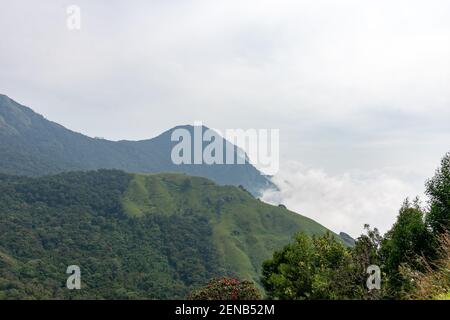 Bella vista delle colline di Munnar in una giornata nebbiosa situato nel distretto di Idukki dello stato indiano sud-occidentale del Kerala, india Foto Stock