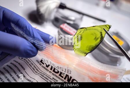 Esperto di polizia diventa campione di sangue dalla bottiglia di vetro in Criminalistic Lab Foto Stock