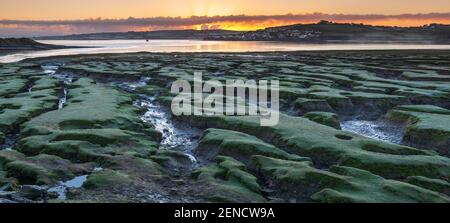 Northam Burrows vicino ad Appletore, North Devon, Inghilterra. Venerdì 26 febbraio 2021. Regno Unito Meteo. Dopo che le temperature scendono durante la notte, mentre il sole sorge, uno strato di gelo copre lo Skern sull'estuario del fiume Torridge a Northam Burrows vicino al villaggio costiero di Appletore nel Devon del Nord. Lo Skern è una baia a forma di ferro di cavallo che si affaccia a nord e si trova all'interno di una "Area di straordinaria bellezza naturale", designata come SSSI. Credit: Terry Mathews/Alamy Live News Foto Stock