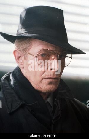 Anno della fame: 1983 UK Direttore: Tony Scott David Bowie Foto Stock