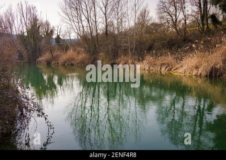 Vista panoramica del fiume Merles attraversando una lussureggiante foresta piena di pini bianchi e rossi in una soleggiata giornata invernale. Sta. Maria de Merles, Catalogna, Spagna Foto Stock
