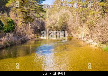Vista panoramica del fiume Merles attraversando una lussureggiante foresta piena di pini bianchi e rossi in una soleggiata giornata invernale. Sta. Maria de Merles, Catalogna, Spagna Foto Stock