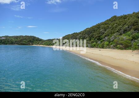 Paesaggio costiero soleggiato all'Abel Tasman National Park in Nuova Zelanda Foto Stock