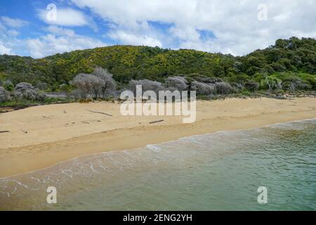 Paesaggio costiero soleggiato all'Abel Tasman National Park in Nuova Zelanda Foto Stock