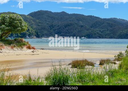 Paesaggio costiero soleggiato all'Abel Tasman National Park in Nuova Zelanda Foto Stock