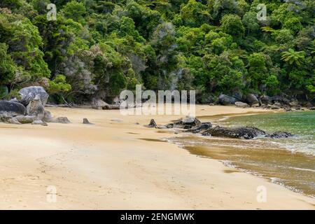 Paesaggio costiero soleggiato all'Abel Tasman National Park in Nuova Zelanda Foto Stock