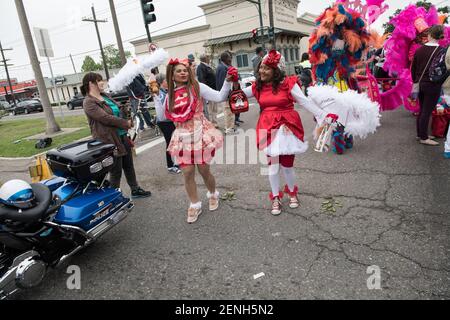 Le bambole colorate in costume cantano e ballano con ombrelloni durante la celebrazione del Downtown Super Sunday a New Orleans, Louisiana. Foto Stock