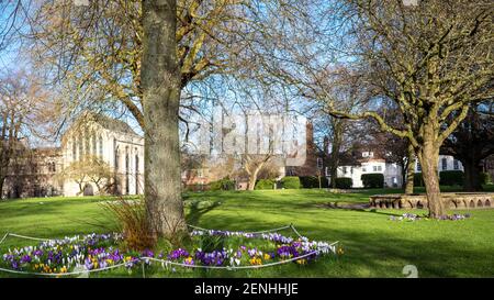 Simboli di speranza nel Dean's Park Garden, Città di York, Regno Unito Foto Stock