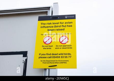 Langstone Harbour Portsmouth Hampshire Inghilterra Regno Unito - DFRA influenza aviaria segnale di avvertenza Foto Stock