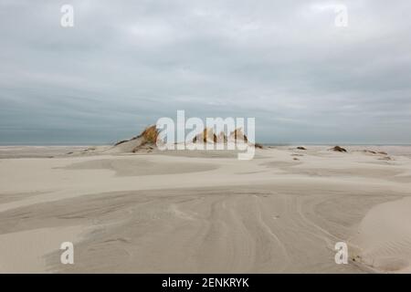 Formazione di dune: Piccole dune coltivate con erba di Marram su una spiaggia ventosa e vasta sotto un cielo grigio e nuvoloso Foto Stock