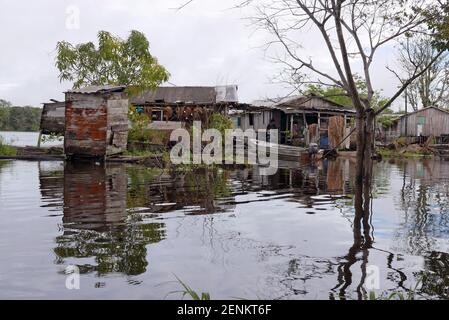 Il villaggio allagato di Boca de Mamirauá nel Mamirauá Riserva per lo sviluppo sostenibile Amazonas Brasile Foto Stock