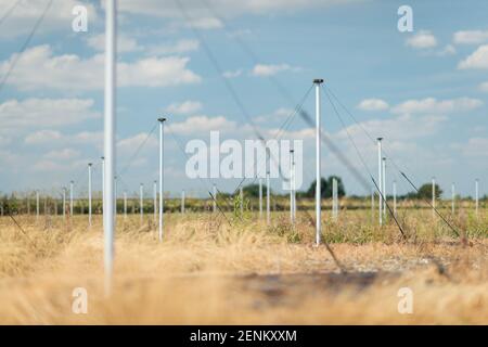 Il radiotelescopio LOFAR (Low Frequency Array) presso l'Osservatorio di Chilbolton, Hampshire, del Science and Technology Facilities Council. Foto Stock