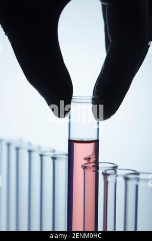 Guanti in nitrile per raccogliere una provetta con Foto Stock