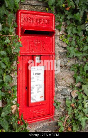 Tradizionale postbox rosso inglese in una parete coperta di edera Foto Stock