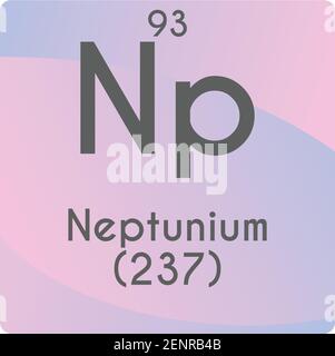 NP Neptunium Actinoid diagramma di illustrazione vettoriale dell'elemento chimico, con numero atomico e massa. Design piatto a gradiente semplice per l'istruzione, il laboratorio, Illustrazione Vettoriale