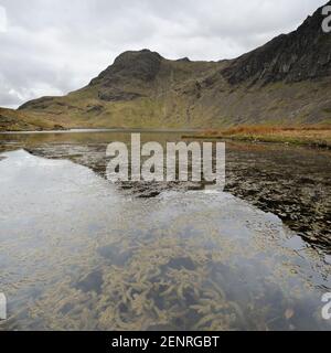 Harrison Stickle riflesso in Stickle Tarn nel Langdale Pikes, Lake District, UK. Foto Stock