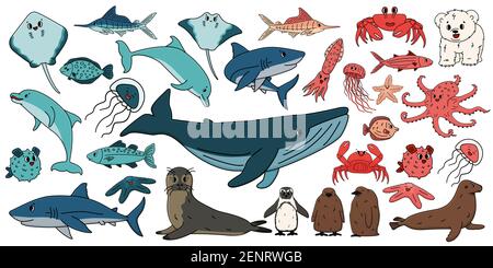 Grande insieme di cartoni animati vettoriali contorno mare isolato oceano nord animali. Doodle balena, delfino, squalo, stingray, meduse, Pesce, stelle, granchio, re pinguino Illustrazione Vettoriale