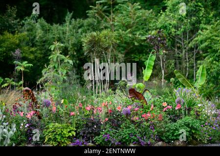 dahlia twynings revel,dahlia piantine,salvia amistad,allium globemaster,linaria peachy,ensete ventricosum maurelii,banana,piantagione tropicale schema,re Foto Stock