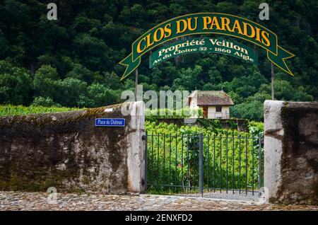 Aigle, Svizzera - 11 luglio 2020: Muro di pietra e l'ingresso del Clos du Pararadis, importante vigneto della Grotta Veillon, cantina storica del Foto Stock