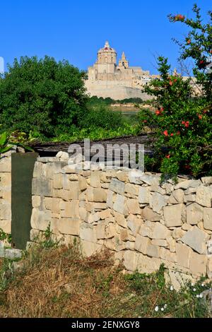 Vista panoramica sulla collina della cattedrale cattolica di San Paolo (XII secolo) presso la città fortificata medievale fortificata di Mdina, Malta Foto Stock