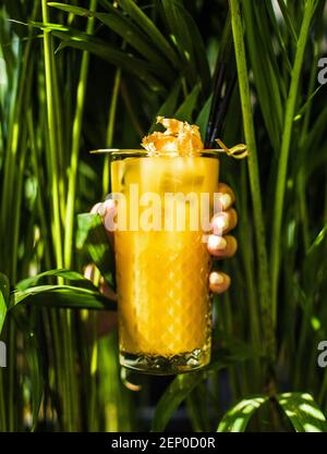Le mani femminili tengono un bicchiere con un cocktail giallo foglie verdi Foto Stock