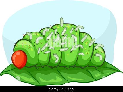 Illustrazione di un Caterpillar con molte vespe sulla pelle. Relazione ecologica, parassitismo Foto Stock