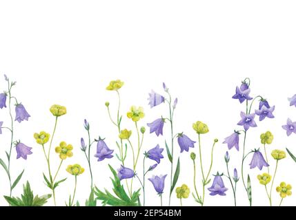 Bordo orizzontale senza cuciture acquerello con fiori selvatici prati. Foto Stock