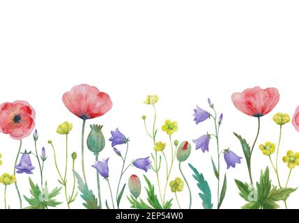 Bordo orizzontale senza cuciture acquerello con fiori selvatici prati. Foto Stock