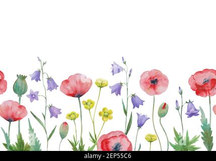 Bordo orizzontale senza cuciture acquerello con fiori selvatici prati. Foto Stock
