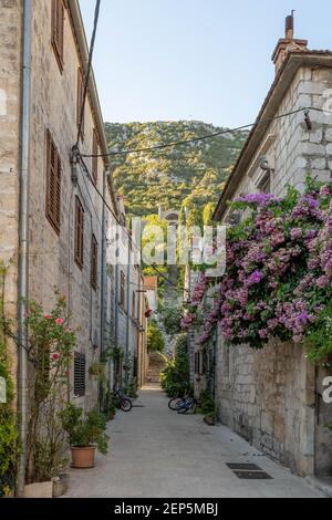 Vista sulla strada della città vecchia con le mura della città in collina Ora del tramonto a Ston Ragusa in Croazia estate Foto Stock