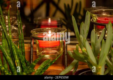 Primo piano di una singola candela di cera rossa bruciante in una finestra oscurata, circondata da piccole piante succulente in vaso Foto Stock