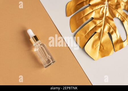 siero facciale in collagene anti-invecchiamento in flacone di vetro trasparente su fondo doppio beige e grigio con foglia di monstera dorata. Estetica organica naturale B Foto Stock